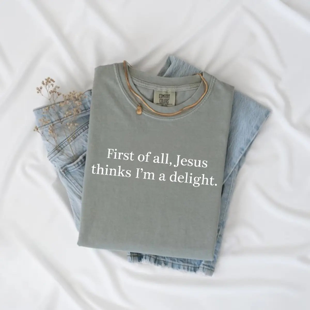 Comfort Colors Jesus Thinks I'm A Delight Shirt, Funny Christian